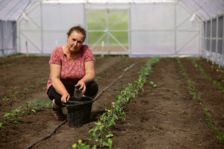 Звіт ФАО: сільське господарство залишається джерелом існування для сільських родин на території України, що постраждала від війни