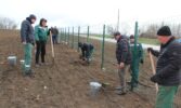 Фундук і мигдаль замість винограду? В АФ «Ольгопіль» здивували новим аграрним підходом