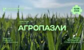 Всеукраїнський День Поля «Агропазли»: у фокусі пшениця, ячмінь та ріпак