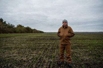 Післяжнивний обробіток у посушливих умовах: лущильник чи штригельна борона?