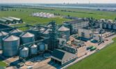 Allseeds зупиняє роботу на Одещині через посилення ракетних атак РФ