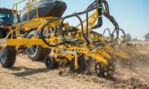Коли корінь говорить за технологію: практична оцінка посівів ріпаку на дослідних ділянках